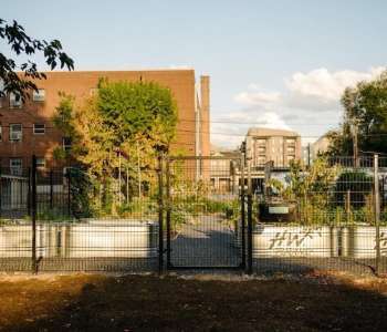 Wasatch Community Gardens - Community Gardens Program Overview