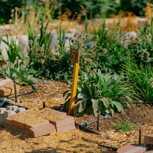 Wasatch Community Gardens - Newsroom