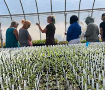 Wasatch Community Gardens - Program Overview - Job Training