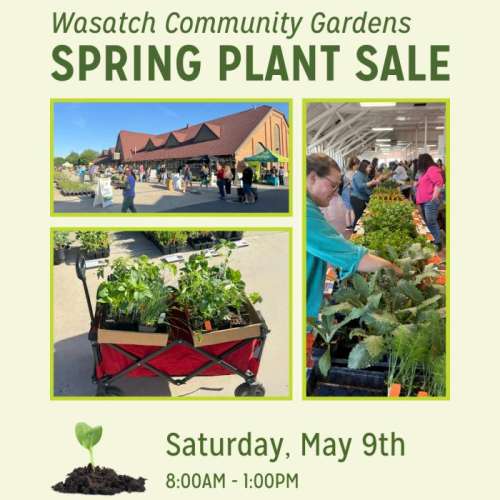 Wasatch Community Gardens - Newsroom