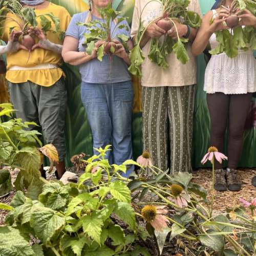 Wasatch Community Gardens - Newsroom
