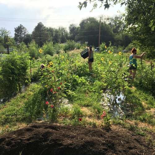 Wasatch Community Gardens - Newsroom