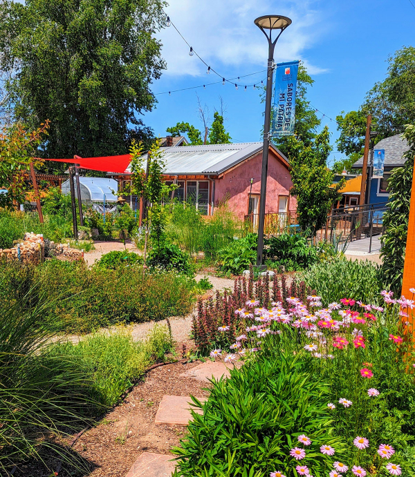 Organizational Sustainability