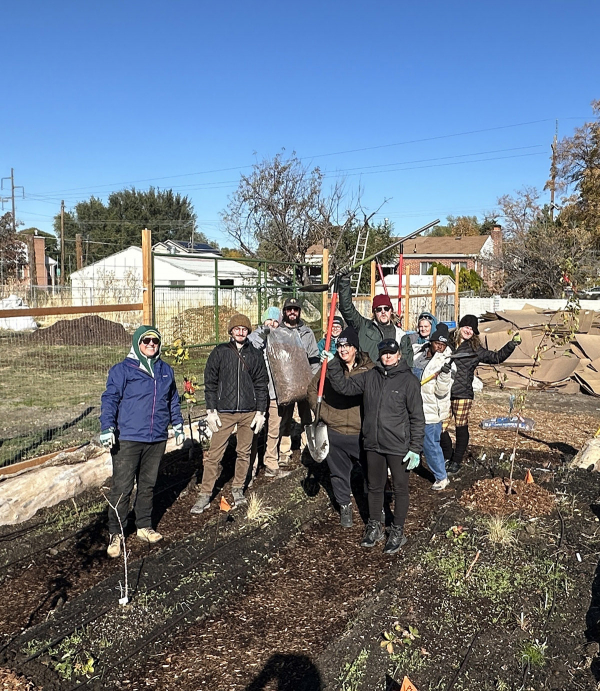 Urban Farm Transplant